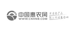 如何建立企業(yè)網(wǎng)站,高端建站,企業(yè)網(wǎng)站建設(shè)一條龍,購物商城開發(fā),做網(wǎng)站價格,網(wǎng)站價格,手機網(wǎng)站設(shè)計,PC+手機網(wǎng)站設(shè)計