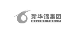 集團網(wǎng)站建設(shè)