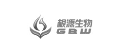 集團網(wǎng)站建設(shè)