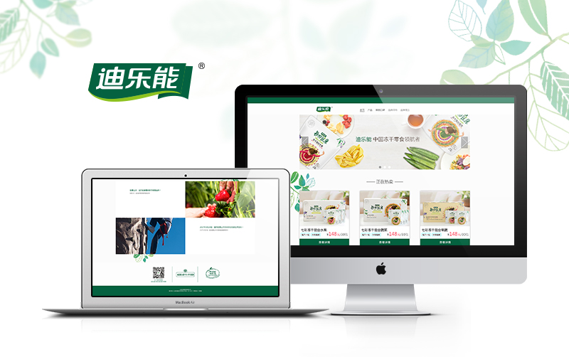 迪樂能食品