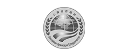 上合峰會網(wǎng)站建設(shè)