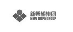 集團網(wǎng)站建設(shè)